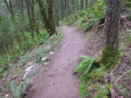 Cross slope on the Boomer Trail – may be steep